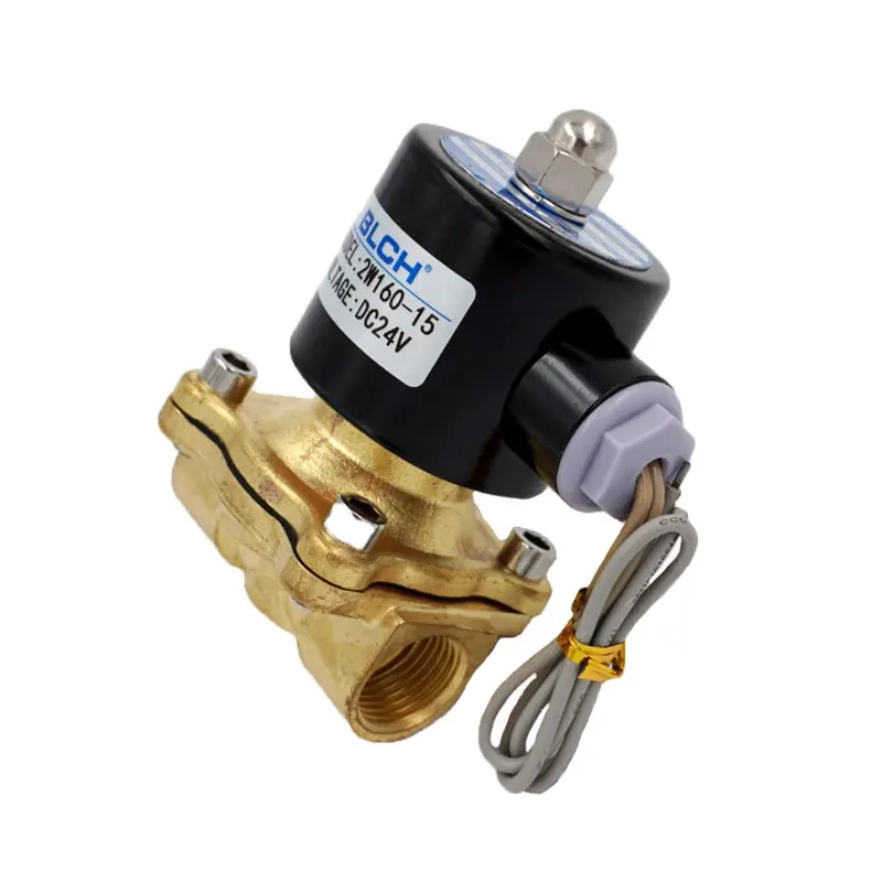 Rekabetçi fiyat ile yüksek kalite dc 24 v 2W160-15 1/2 inç pirinç Pnömatik 12 v su solenoit valfi