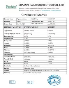 Neu Eingetroffener Kräuterextrakt Papaya-Blatt-Extrakt-Pulver Lebensmittelqualität Weißes Pulver Papain Gesundheitsnahrung - Product Image 2