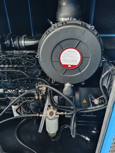 Générateur silencieux 200 kVA 60 Hz, alimentation de secours pour l'exploitation minière, la construction, haute altitude, résistant à la chaleur - Product Image 6