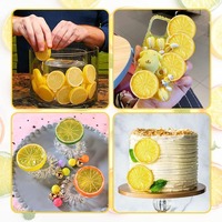 Kunstmatige citroenschijfjes van plastic, 5 cm, dubbelzijdig, decoratieve citroenblokjes, party tumbler topper, DIY nep fruit