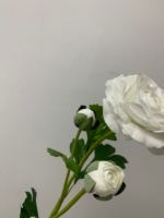 Bunga Ranunculus Buatan Berkualitas Tinggi Warna Putih, Bunga Lateks Real Touch untuk Buket Pernikahan, Dekorasi Centerpieces, dan Rangkaian Bunga