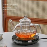 Théière moderne en verre borosilicate écologique, de qualité alimentaire, soufflée à la main, design unique