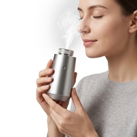 Diffuseur de parfum pour voiture en alliage d'aluminium, écologique, à fusion froide, longue durée, nébulisation, OEM/ODM - Ventes Flash