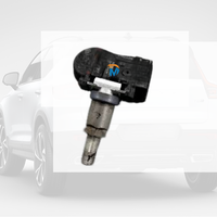 Capteur TPMS de pression des pneus pour moteur de voiture, étiquette privée personnalisée, BHA437140A