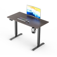 Bureau moderne ergonomique à moteur unique de haute qualité, Table d'ordinateur, bureau électrique réglable en hauteur