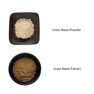 卸売 高品質 オーガニック 20:1 ヘリシウム・エリナセウス抽出物 ライオンのたてがみキノコ抽出物粉末 ライオンのたてがみ抽出物粉末 - Product Image 2