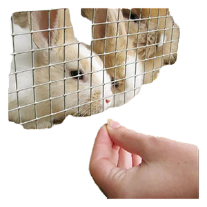 Grillage en fil d'acier de 10 mm adapté au grillage en fil d'acier galvanisé utilisé dans les cages et enclos pour le bétail - Product Image 1