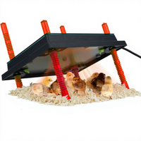 QA température constante réglage protection de l'environnement poulet couveuse coussin chauffant Pet poussin plaque chauffante