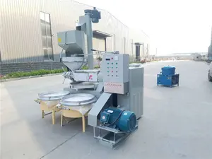 Factory Supplies Automatic Sunflower Seed Screw Oil Press