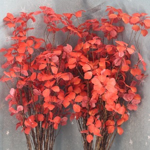 ใบต้นกวนอิมประดิษฐ์ ไลอันซิง สีแดง สีเขียว สีเหลือง สีแดงซันเซ็ท ดอกไม้พลาสติก ดอกไม้ไหมประดิษฐ์ สำหรับตกแต่งงานแต่งงาน ตกแต่งบ้าน ของตกแต่งภายนอกอาคาร แบบเดี่ยว - Product Image 4