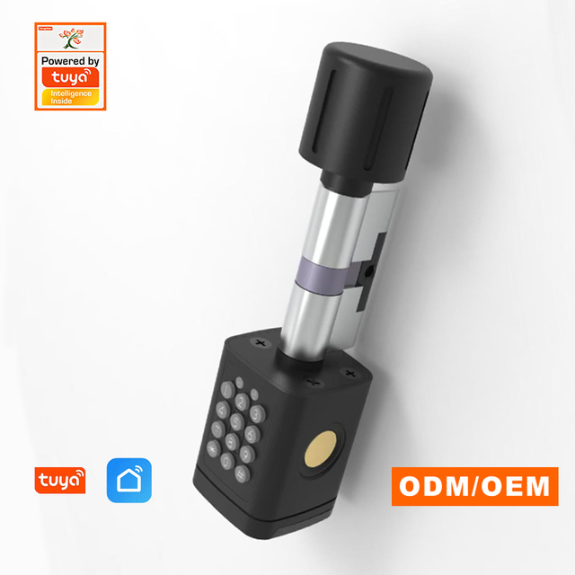 Aluminum Alloy Lock Cylinder Smart Keyless Entry System for Wooden/Aluminum Doors Alarm for 5 Failed Attempts