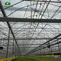Serre agricole multi-spans en acier galvanisé robuste, fabrication en usine, vente en gros