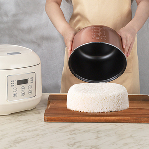 <b>Electric</b> 4L <b>Portable</b> RV Ready Multi-Purpose Rice <b>Cooker</b> Digital Timer Control Non-Stick Inner Pot Fast Cooking Smart Features - Product Image 6