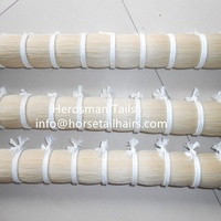 Poils de queue de cheval mongol naturels de qualité supérieure et de qualité normale 30-33 "non blanchis pour la fabrication d'archets de violon/alto/violoncelle