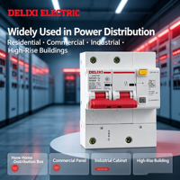 DELIXI RCBO 2P 100A Tipo D 30mA Interruptor Diferencial 230V Protección Contra Fugas a Tierra Certificado CE para el Hogar
