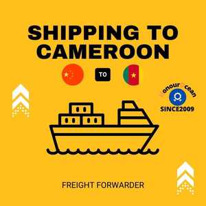中国到喀麦隆杜阿拉的海运代理服务和货运服务 从中国供应商处在线购买产品 - Product Image 3