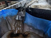 Jianlong Asphalte durable Patch froid réparation de nids de poule Matériau de construction routière Mélange à froid Asphalte émulsionné