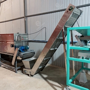 Ligne de pelage <span class=keywords><strong>d</strong></span>'<span class=keywords><strong>ail</strong></span> à conception modulaire avec capacité personnalisable, système de pelage <span class=keywords><strong>d</strong></span>'<span class=keywords><strong>ail</strong></span> automatisé pour le traitement et l'exportation de l'<span class=keywords><strong>ail</strong></span> - Product Image 2