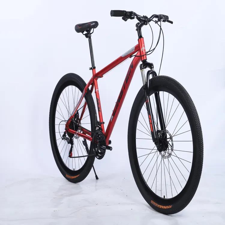 21 speed stalen frame materiaal handel assurance mountainbike vouwen volwassen fiets dikesen importeren bedrijf