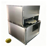 Machine automatique de retrait de noyaux de fruits et de dattes avec composants à engrenages, puissance 1,5 kW, capacité 48-96 pièces/min pour le retrait des noyaux de palmier