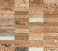 Carreaux muraux en céramique haute résistance de 9 mm d'épaisseur, 60x250 mm, résistants au gel et aux intempéries, design moderne pour salon, villa, maison