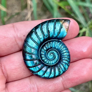 Venta al por mayor de labradorita natural, amonita, espiral de caracol tallada a mano, figura de concha de cristal, artesanía de piedra de cuarzo curativa para meditación - Product Image 1