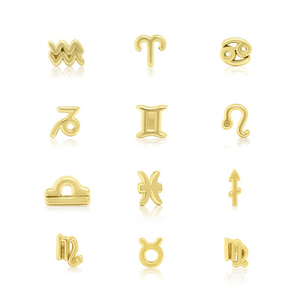 Gemnel Minimalist Zodiac Stud 925 Plata 14K Oro Pendientes de Navidad para niñas - Product Image 1