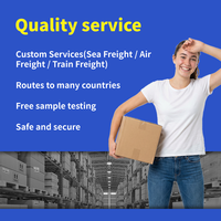 Agent de dropshipping Container Wangpai : Expédition rapide par avion et express vers le Royaume-Uni (GB) avec un transit de 8 à 12 jours, livraison porte-à-porte à bas prix