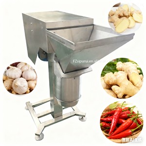 Di alta qualità elettrico tritacarne aglio frantoio aglio pressa tritacarne aglio zenzero aglio macchina per uso ristorante - Product Image 5