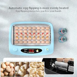 Fully automatic incubator for hatching eggs with solar power panel and battery for chicken,quail, duck,(Type-264)