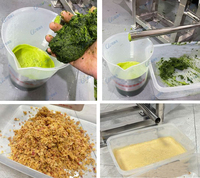 Industriële voedingsmiddelenkwaliteit roestvrij staal 304 PLC & tandwiel fruitextractor & pulp machine hoge efficiëntie ananas mango druif citroen