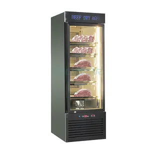 Buy Wholesale China 125l Compressor Dry Aged Steak Refrigerator