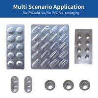 Hanyoo Emballage blister DPP personnalisé en PVC et feuille d'aluminium Machine d'emballage de pilules et de comprimés et de capsules