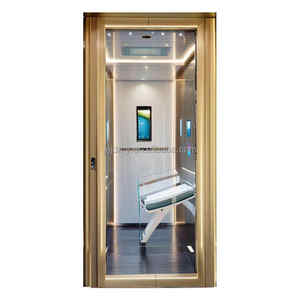 G + 2 Verdieping Indoor Home Lift Passagierslift Met Elektrische Deur - Product Image 6