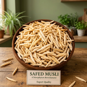 Muesli Crudo Blanco Premium |   Hierba Ayurvédica Natural para Suplementos de Bienestar, Nutracéuticos, Suministro a Granel y Exportación Global - Product Image 3