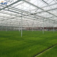 Invernadero de Vidrio Resistente para Proyectos de Cultivo Comercial de Vegetales a Gran Escala