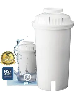 Kartrid Pitcher pengganti Filter air alkali bersertifikasi NSF meningkatkan pH air