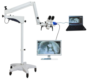<span class=keywords><strong>Microscope</strong></span> à caméra pour <span class=keywords><strong>microscope</strong></span> chirurgical en oto-rhino-laryngologie médicale le plus vendu personnalisé en usine - Product Image 2