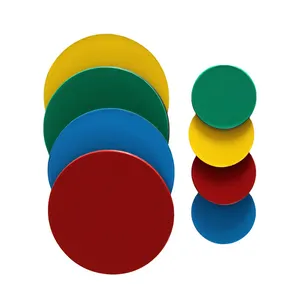 Magnetic Two Colour Counters