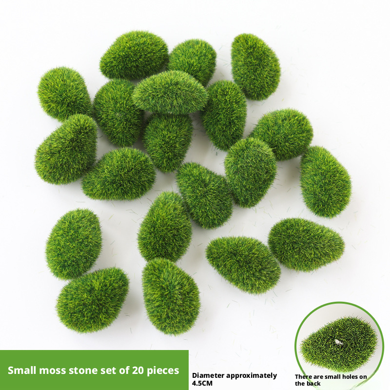 verde 5
