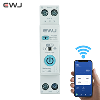 Disjoncteur Miniature EWJ 63A AC 2P avec Compteur d'Énergie Tuya Wifi, Protection Contre les Fuites et Relais de Tension 220V, Interrupteur Intelligent Smart Life MCB