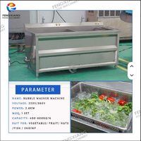 Commerciële Multifunctionele Ultrasone Bubbel Wasmachine Motor Water Voor Vaatwerk Fruit Groenten Nauwkeurig