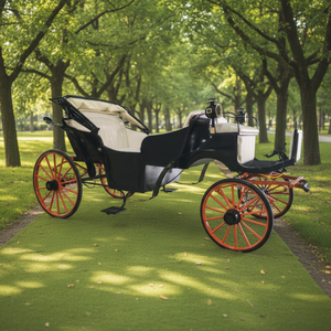 Charrettes <span class=keywords><strong>de</strong></span> tourisme classiques à vendre / Charrettes <span class=keywords><strong>de</strong></span> course très demandées / Nouvelles petites charrettes exportées à l'échelle nationale - Product Image 4