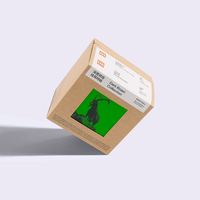 Emballage cadeau de luxe personnalisé de haute qualité, boîtes en papier kraft coloré ondulé, boîtes de rangement et d'expédition en papier pour café filtre