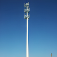 Tour de télécommunication monopode YingHao certifiée ISO de 30 m avec échelle interne et garde-corps de sécurité pour un accès de maintenance sécurisé, durée de vie de 30 à 50 ans