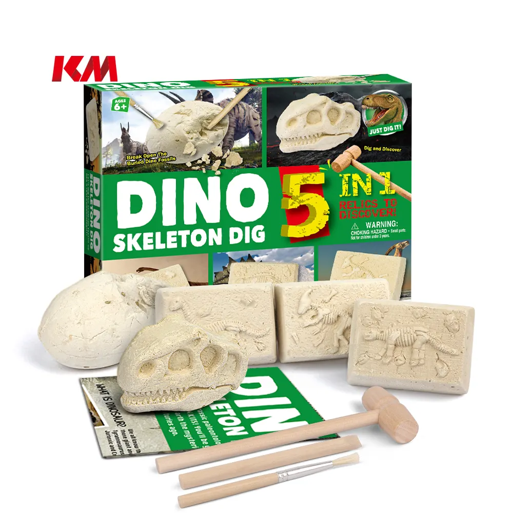 Grappige Dino Leren Skelet Speelgoed 5in1 Dinosaurus Speelgoed Opgraving Graven Kit Voor Kinderen Voorschoolse Educatieve Spelletjes Speelgoed