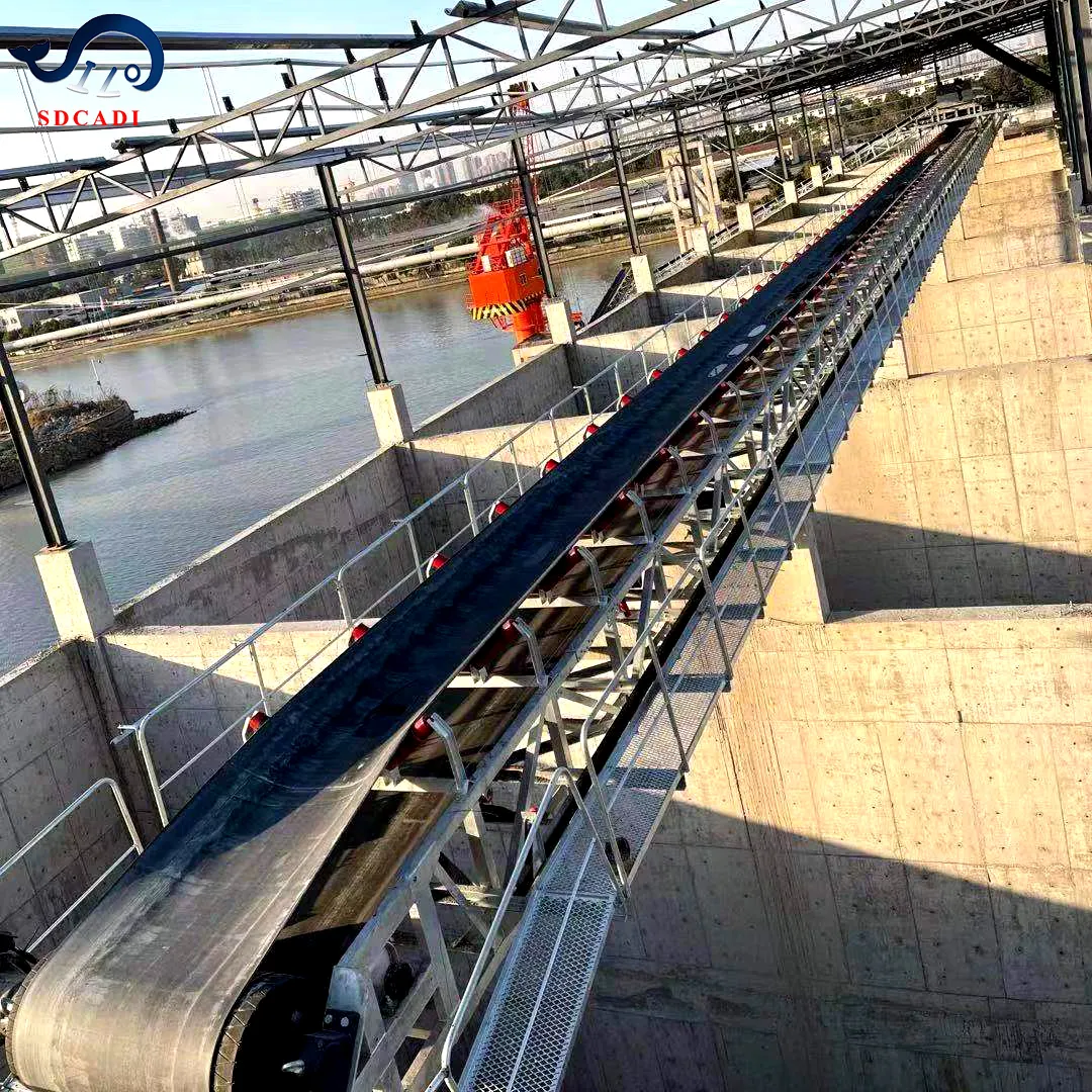 Sdcad Aangepaste Betonnen Transportband Voor Betonnen Batching Plant