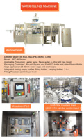 Ligne complète de production et d'embouteillage d'eau minérale PET 12000 BPH pour eau pure et potable