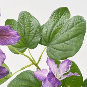 Flores Artificiales de Bauhinia, Rama Individual de Seda, Alta Simulación, Decoraciones para Bodas, Accesorios de Decoración para el Hogar - Product Image 3