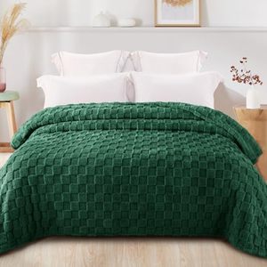 Flannel Fleece Knitted 100% Polyester Embroidered Blanket Super Cozy Warm Lightweight Anti Dust Mite <strong>Cute</strong> for Women Home <strong>Bedding</strong> - Product Image 2